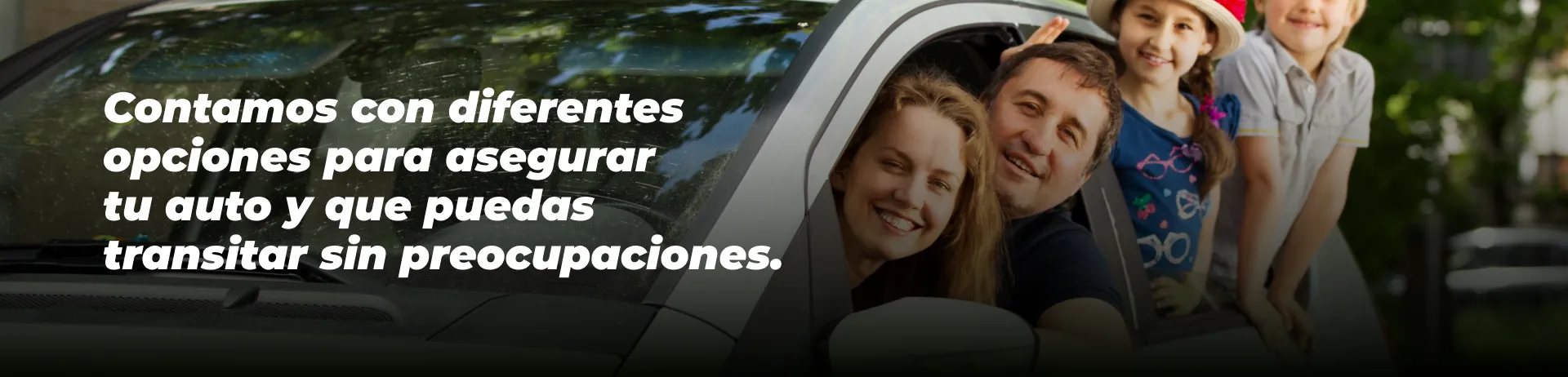 Seguro 1