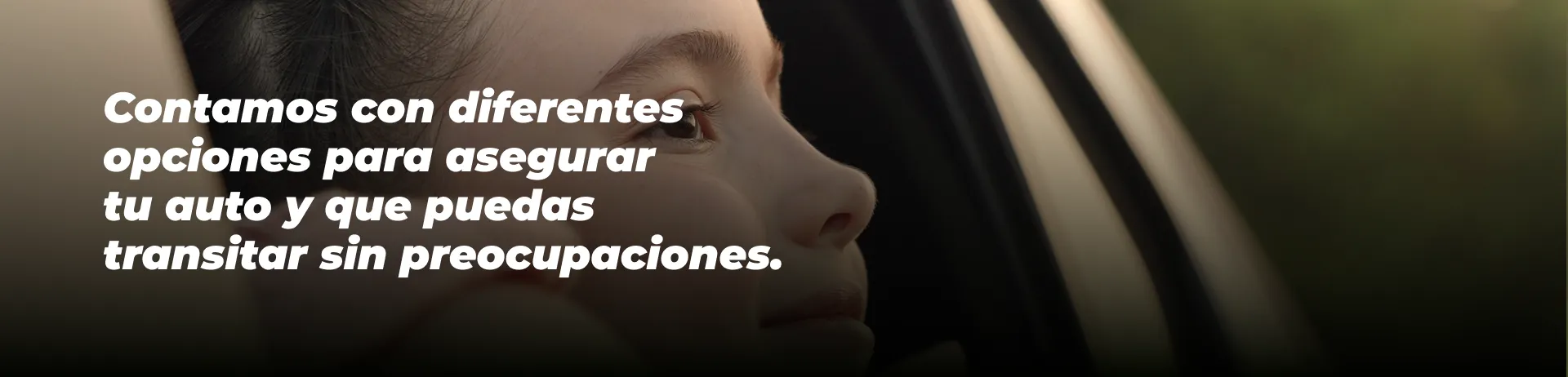 Seguro 3